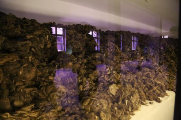 10張照片，記錄人類的苦難與暴行