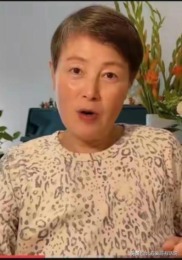 史曉燕在洛杉磯機場海關遇險？差點兒被打道回府