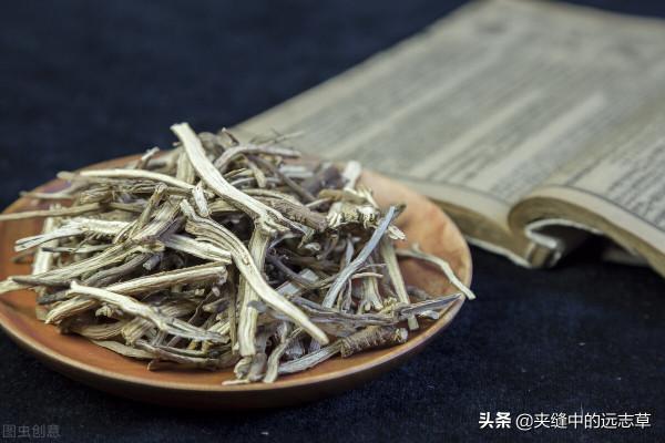 耳鳴,耳聾?送你三味中藥,理氣活血,暢通耳竅,不來了解下嗎 耳鳴,耳聾?送你三味中藥,理氣活血,暢通耳竅,不來了解下嗎