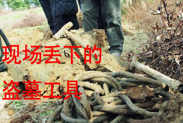 全國重點古墓群被盜，守墓人發現之後不敢上報，自己填了盜洞