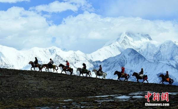 萬物共榮 華夏之美 萬物共榮 華夏之美