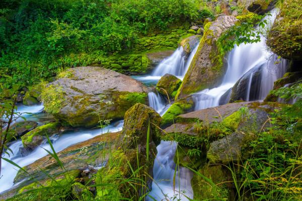 最全神農架旅行攻略,再也不用擔心被宰客,這份攻略真實用 最全神農架旅行攻略,再也不用擔心被宰客,這份攻略真實用