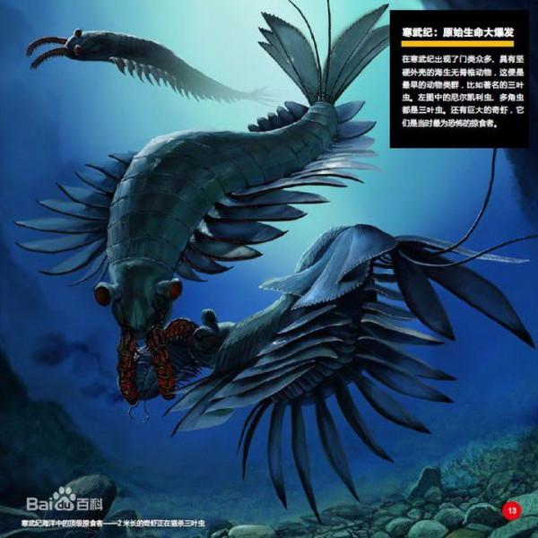 盤點地球各時期的生物霸主——（一）古生代