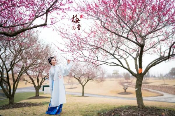 松江這片梅花園，開得太美了