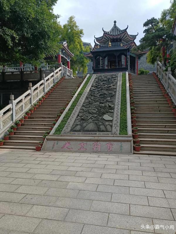 一個四肢健全的人，連自力更生的生存能力都沒有？