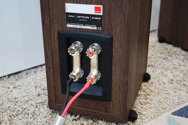 DALI OPTICON 6 MKII 評測：細膩而精緻