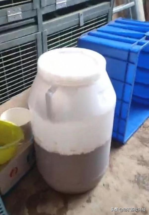 今後只有三種豬場（自有散養豬場）是可以長期保持穩定盈利的