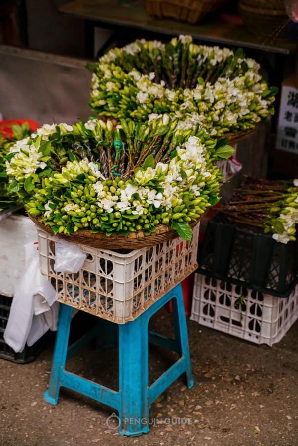 全國秋天神仙菜市場大賞 全國秋天神仙菜市場大賞