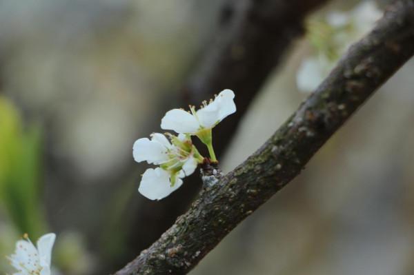 有一種心態，叫“捨得”