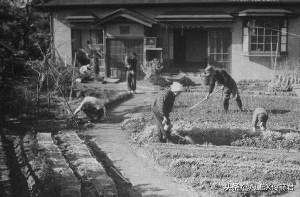 二戰中美軍轟炸鳥糞後,結果日本沒有糧食吃了 二戰中美軍轟炸鳥糞後,結果日本沒有糧食吃了