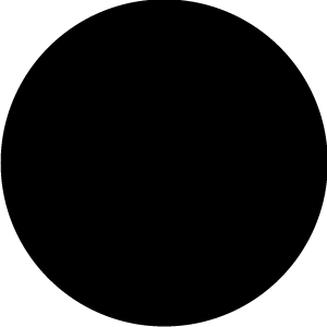 北京友誼醫院王豔玲教授團隊首次構建急性冠狀動脈綜合徵眼動脈模型與血流模擬模擬