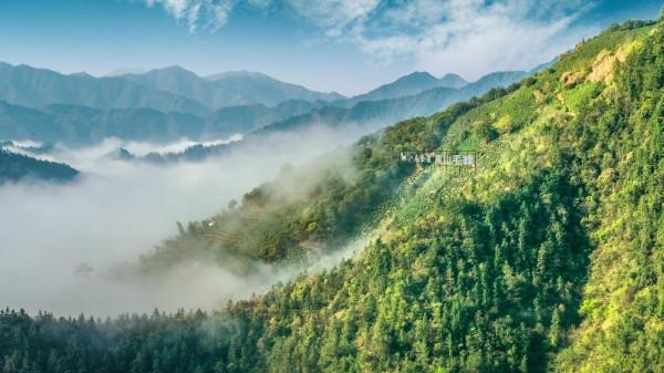 神秘的北緯30°，在這裡，奇蹟與災難並存…