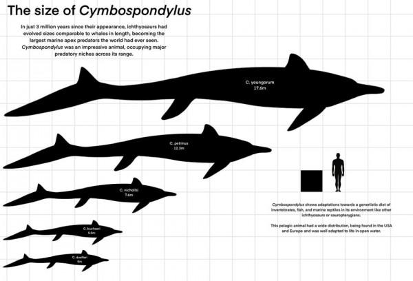 陸地上有恐龍，海里的恐龍叫什麼？最古老的巨型海恐龍被發現
