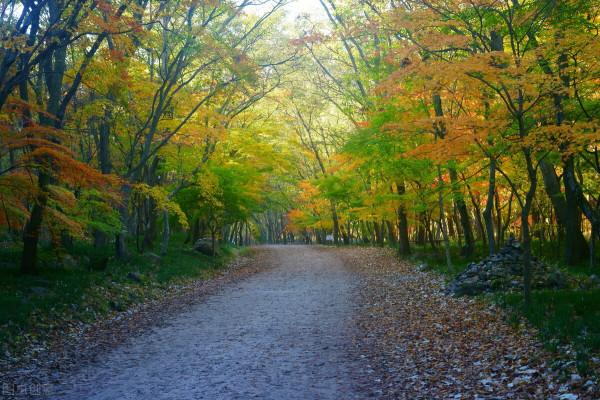 淡定從容，世事無常，心安即是歸處