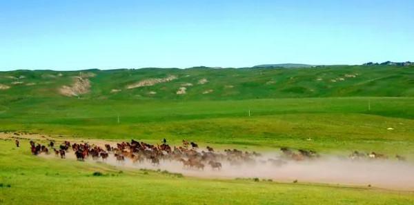 諸葛亮如果不出祁山兵進青海，蜀漢可能早就一統天下