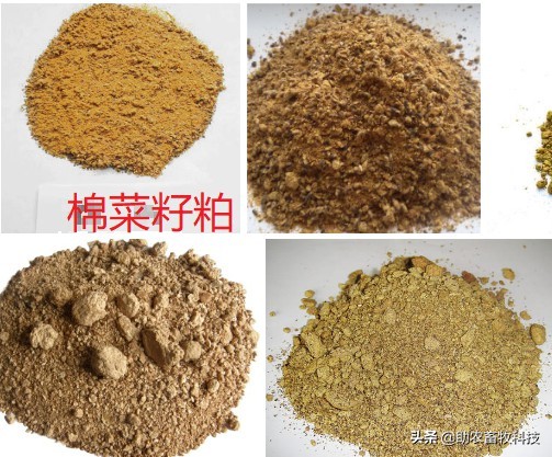 發酵飼料生產工藝控制要點分析實戰操作技術 發酵飼料生產工藝控制要點分析實戰操作技術