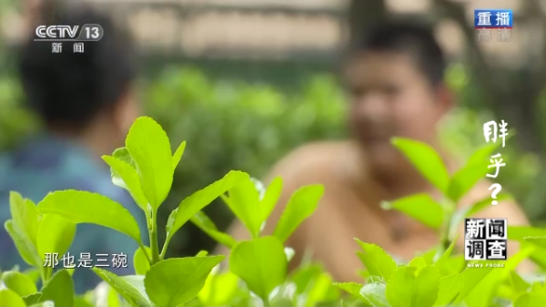 胖乎？看完如果害怕了就趕快動起來吧