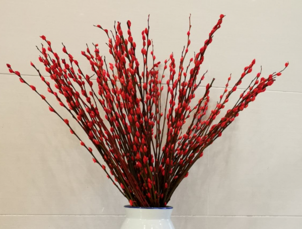 “家有銀柳,越過越有”,寓意銀兩到家,當之無愧的旺財花 “家有銀柳,越過越有”,寓意銀兩到家,當之無愧的旺財花