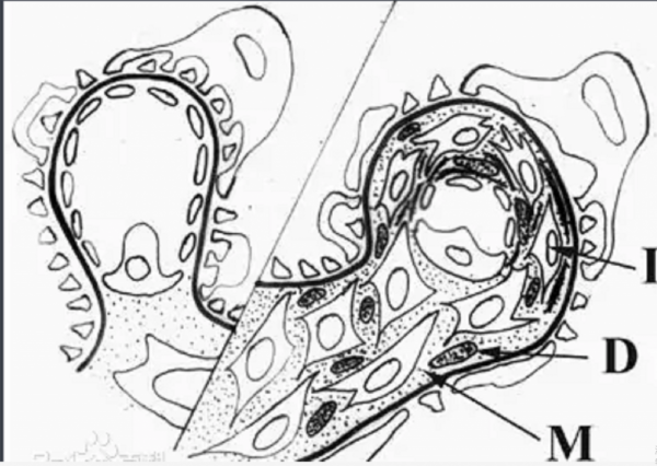2020年，那名誰給40萬救我父親就嫁誰的河南女孩，結果怎樣了？