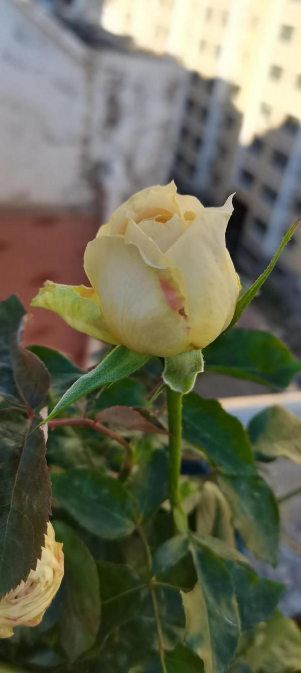 一站有一站的風景，一歲有一歲的悲喜