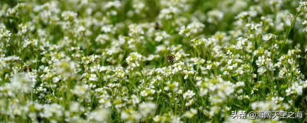 這裡是新疆|全畫幅美景(2) 這裡是新疆|全畫幅美景(2)