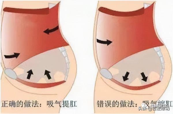 一個武學實修者的練功體會 一個武學實修者的練功體會