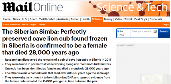 潘多拉魔盒開了？西伯利亞幾年前的洞穴獅子屍體，死於28000年前