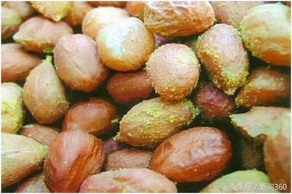 牛肉是2A級致癌物，吃了會致癌？醫生一文解釋清楚