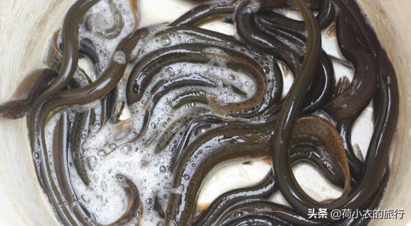 來蘇州旅遊，必吃的8道美食，你都一一嘗過了嗎？