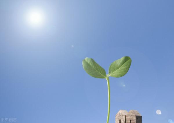 我和大叔春天有個約會 我和大叔春天有個約會