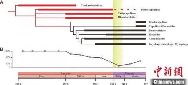 昆蟲如何響應二疊紀末大滅絕事件?中外學者合作研究有新發現 昆蟲如何響應二疊紀末大滅絕事件?中外學者合作研究有新發現