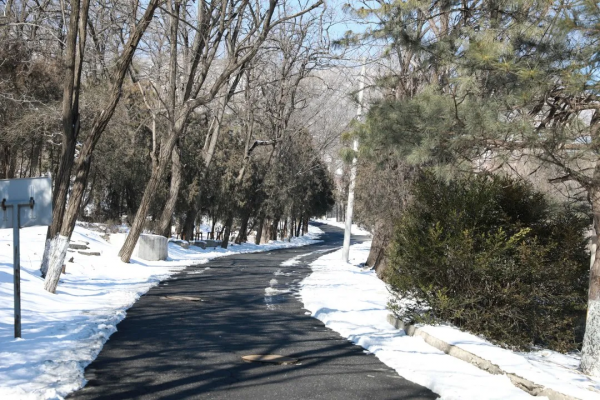 快來看，蘇家坨鎮的雪景美出了圈！