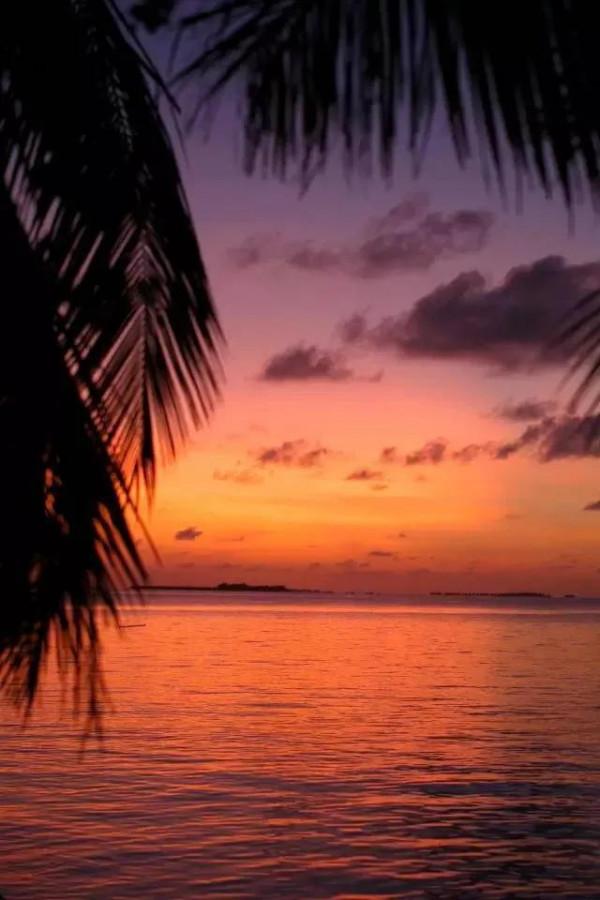 分享圖片：落日美景，令人震撼