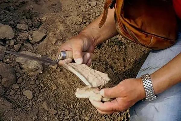 陪葬186人的秦公墓:專家耗費10年才找到主棺,開啟後心痛不已 陪葬186人的秦公墓:專家耗費10年才找到主棺,開啟後心痛不已