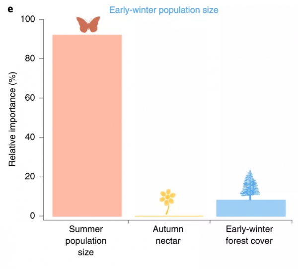 跨國遷徙的帝王蝶,能夠跨越氣候變化嗎? 跨國遷徙的帝王蝶,能夠跨越氣候變化嗎?