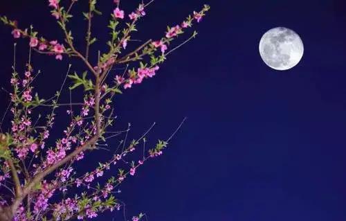 沒有月餅的中秋節