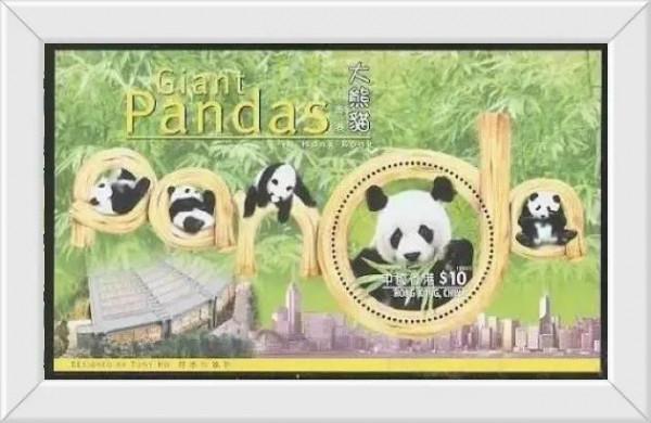 中國的國寶——大熊貓