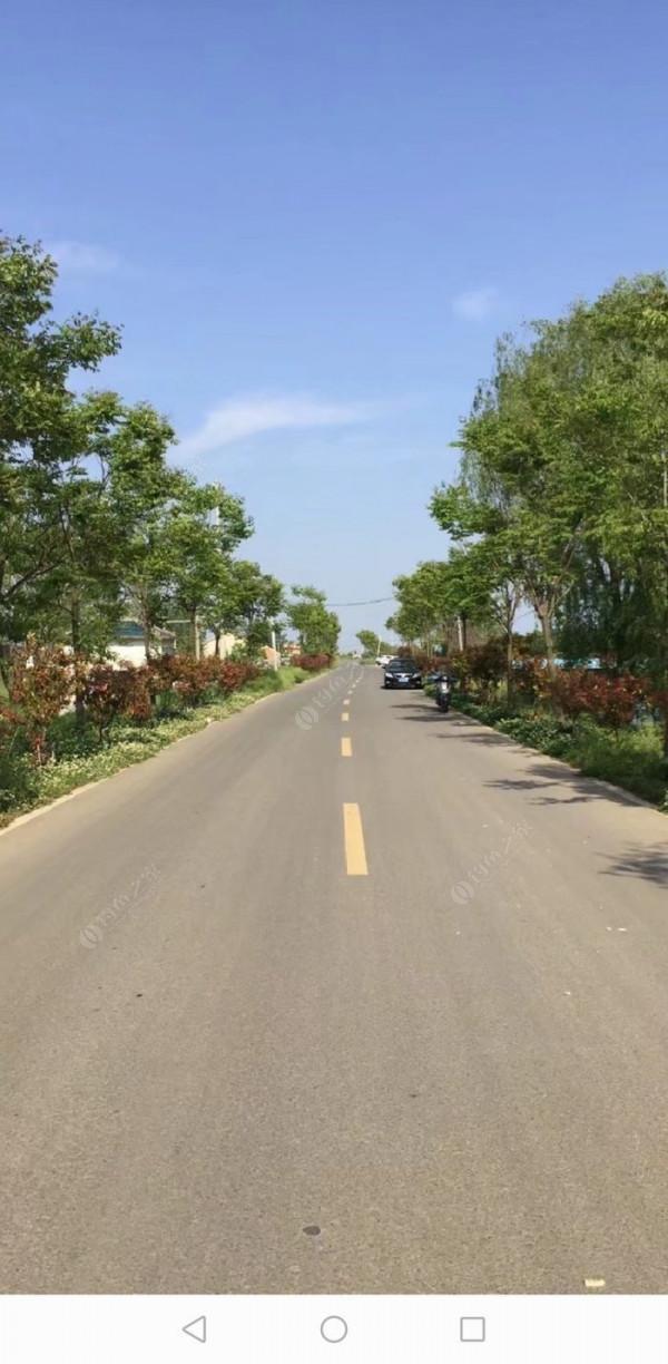 百人競釣黃碼河