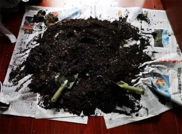 泥炭土是怎麼來的?弄清原理後,自己在家做,用來養花超有營養 泥炭土是怎麼來的?弄清原理後,自己在家做,用來養花超有營養