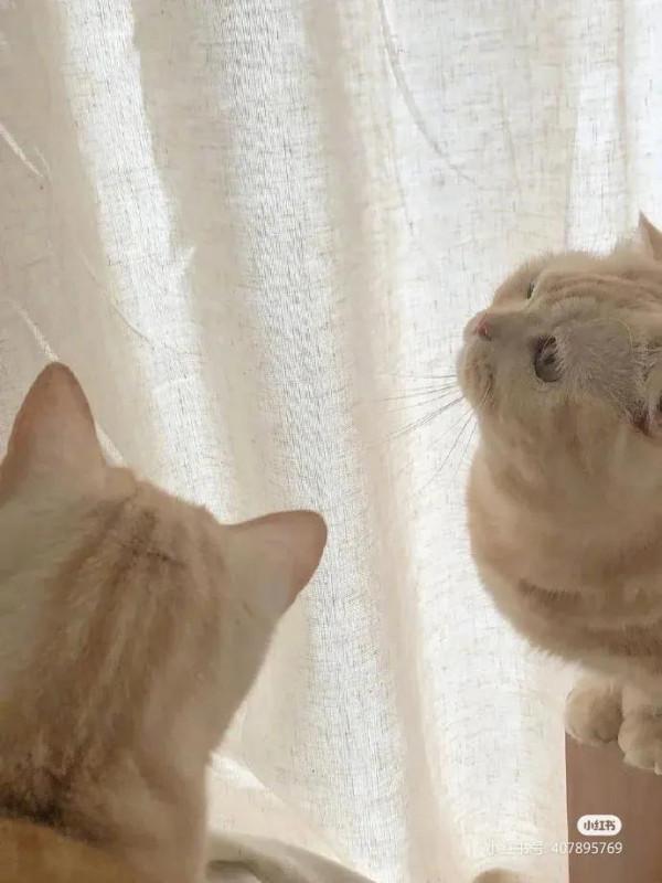 好事總會發生在下個轉彎