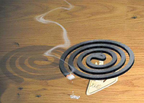 花盆裡小黑飛蟲越來越多怎麼辦？記住這&OpenCurlyDoubleQuote;3招&rdquo;，小飛蟲都死光光