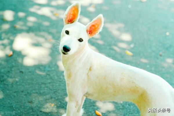 「大寶三年級」&OpenCurlyDoubleQuote;媽媽，能不能不要揪著一件事不放？&rdquo;