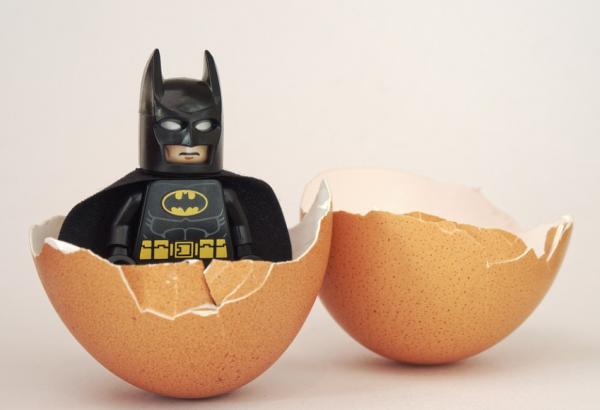 它們是地球上,唯一真正會飛翔的哺乳動物,可是卻不怎麼引人注目 它們是地球上,唯一真正會飛翔的哺乳動物,可是卻不怎麼引人注目