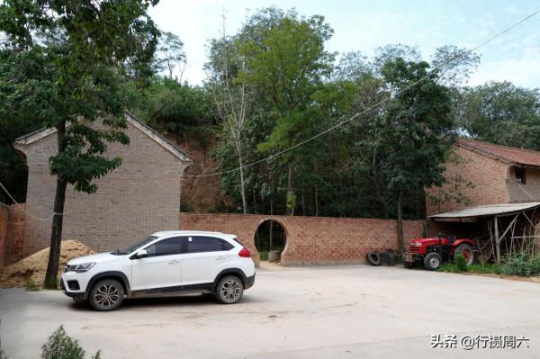 農民大姐家有“黑熊犬”，忠誠聰明1狗護全村，8萬不賣