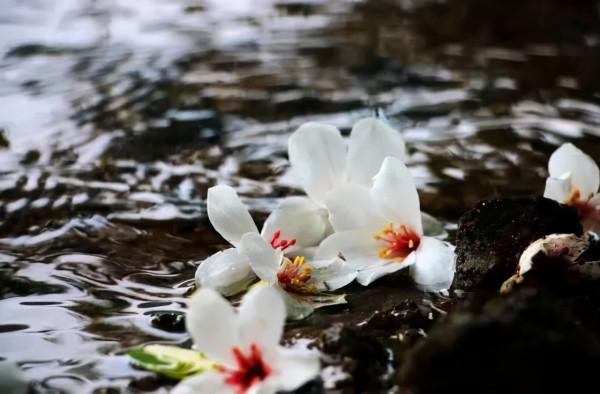 毛選：思想比技術更重要，只有正確的思想，才能駕馭先進的技術