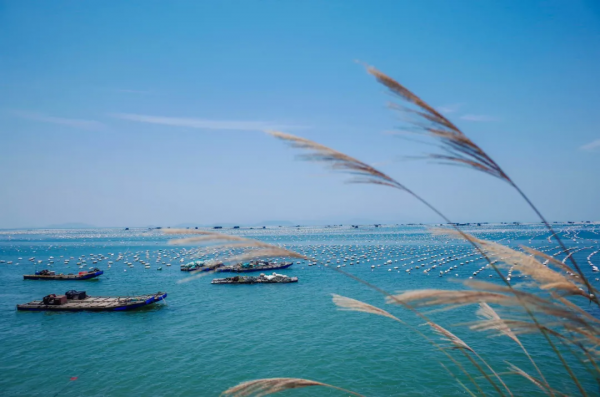 中國最美沿海公路，坐擁5大海島，一路駛向大海，山海風光絕美