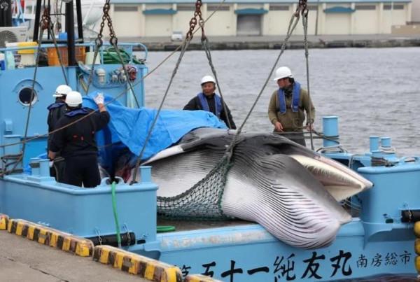 “沒有買賣，就沒有傷害”，姚明被矇在鼓裡，外國人趁機斂財