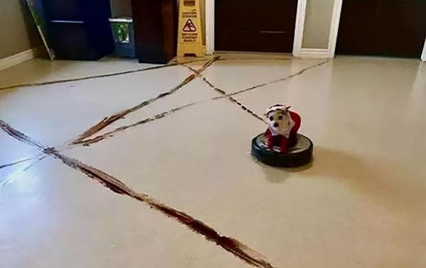 小心智慧變智障，這些智慧家居考慮好再買