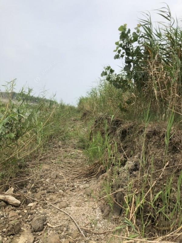 2021垂釣日誌之56,艱辛垂釣路,魚獲足補償 2021垂釣日誌之56,艱辛垂釣路,魚獲足補償