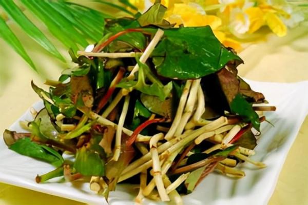 叩開記憶的大門之八